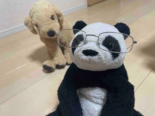 メガネ似合ってるかな??
ぱんちゃんは 両目2.0だから 度は いらない