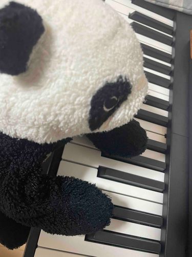 久しぶりにピアノをひいたよ!🎹
白と黒でピアノとおそろい!
ぱんちゃんはゆびがないけど、ラ・カンパネラがひける