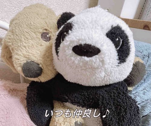 どんなときもそばにいてくれる、やさしい犬こと朴イ・ヌ