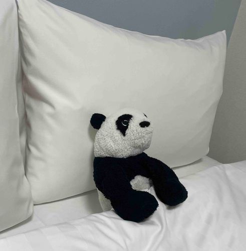 ぱんちゃん in 県外⭐️
歩き疲れて足がいたいから ホテルで一休み!
久しぶりの遠出 いっしょに行けてうれしかったな