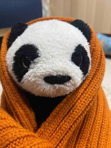 最近さむいね
もうマフラーの季節になっちゃった🧣