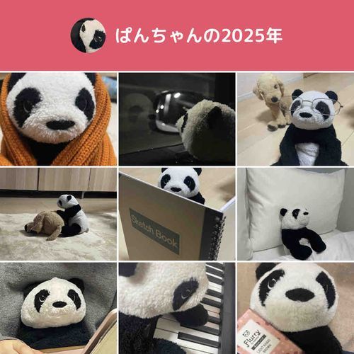 趣味に没頭した1年だった♪
2026年もぱんちゃんをよろしくね！