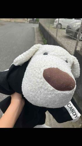 初めまして！
ごろうです！男の子です！
とってもキュート🩷な顔が自慢です（えへへ）