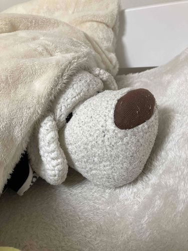 もう寝まーす💤
寝たくないのに眠い…。
まだ起きてたいのに〜…。