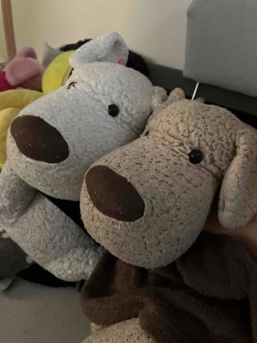 家でディズニーシーのタワー・オブ・テラーを再現したら…笑
ごろう「怖いねッ」
ちゃろう「ねッ」