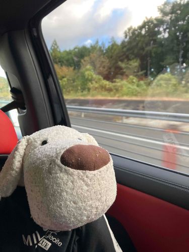 旅行いってまーす🚗
目的地どこだっけ…？？