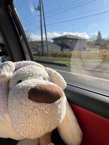 旅行2日目🚗
今日はお母さんのいとこ家に泊まる🏠
明日帰るの悲し過ぎ…