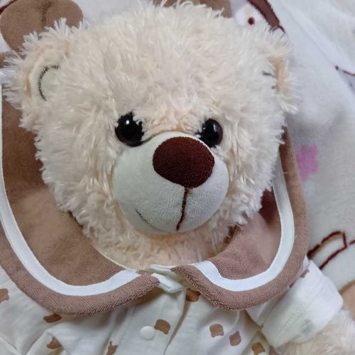 ぽむのおにいちゃだよ。
はんとしだけおにいちゃだよ。
なまえは、ファーファちゃんに似ていたためつけられたよ。