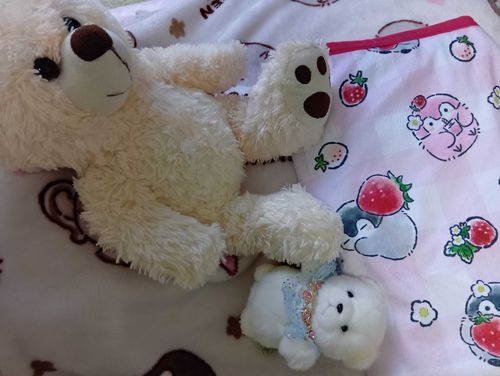 おうちにいるときは
こんな感じ
ころんころん