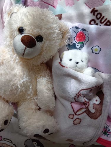 ぽむたん、おはよう😊
ゆめみてた？
ゆめみたよ〜
ぽむがたくさん いいこいいこ
されるゆめ