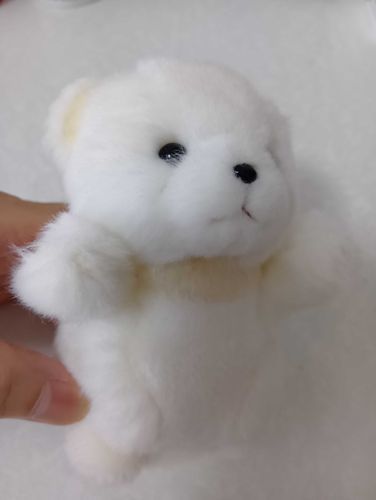 あちゃの たいちょう
いっちに いっちに🎶
