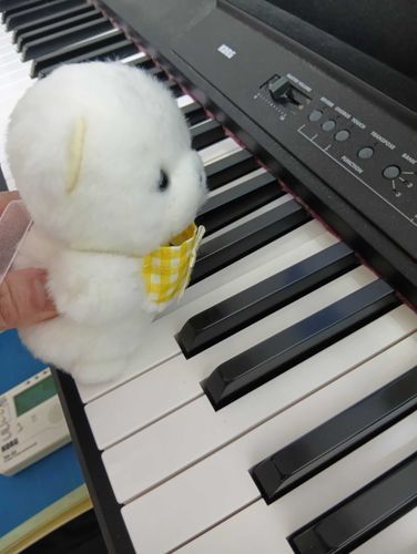 きょう まま(ぬし)が ピアノひいてた いったから
ぽむもひきたい ていったら
ひかちてくれた
おとがなって びっくりちたけど
とっても おもちろかったよ！