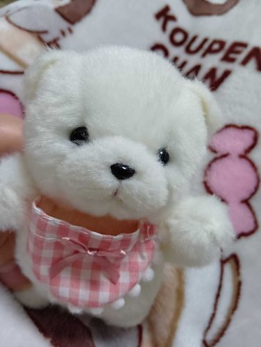 ぽむちゃんのしんちょう
12ちぇんち なの