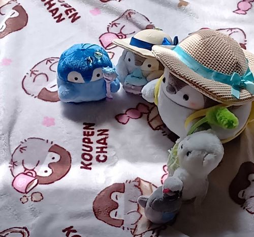 きょうは天気がいいから
みんなでようちえんから出てひなたぼっこ
(ここはぬしの家の中の明るいところだよ)