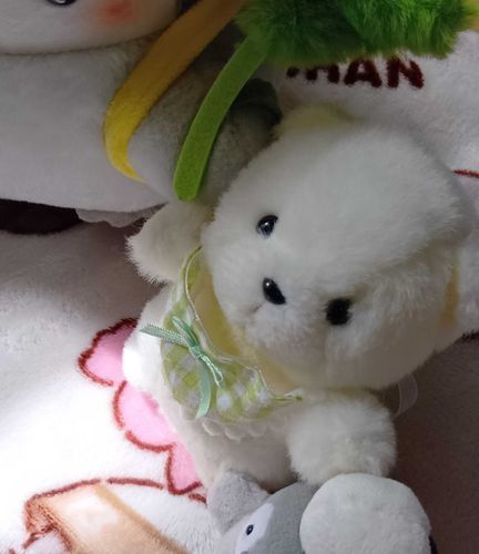 ぽむ ひなたぼっこ^^