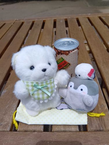 きのうはれたから
ひなたぼこ きたよ
しょくぶつえん だよ