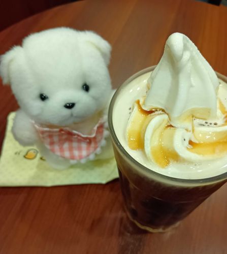 きょうは、まま(ぬし)のおでかけにつれていかれたよ。
かふぇでままはあいすこーひーをたのんだけど、そふとくりーむもたべたかったからか、そふとをのせてもらって、こーひーふろーとにしてもらっていたよ。
ぽむはあいすだけでもあじみしたかったなぁ。