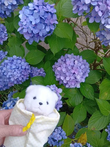 ここ どこ？
