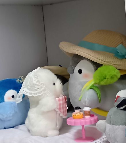 きのうのよちえん