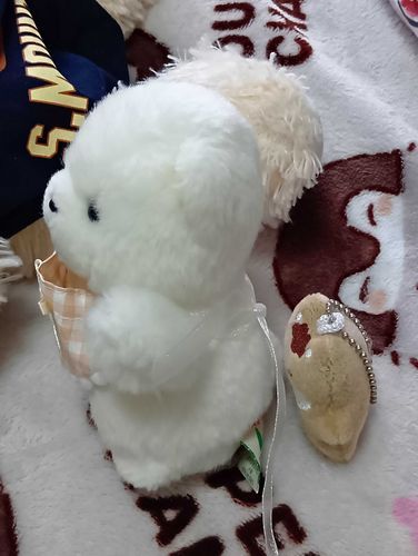 へんなこがうちろにいるよ〜😭
ままがぽむとなかよくなれるかとおもってかてきたみたいだけど、ぽむのおともだちじゃないとおもうんだけど。。。
ちかたないから、ままがかばんにつけるていてた。