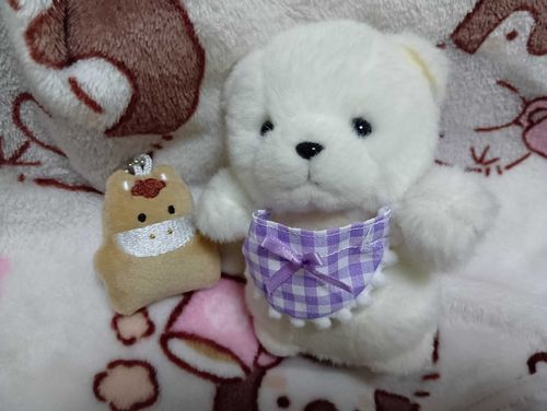 きねんさつえいちてみたよ☆
ぽにーたんはおうまさんみたいだよ🐴
おなまえなんていうの？