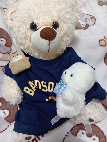 おにいちゃ、ぽむもぷちもいるよ。
ちゃみちくないよ。
