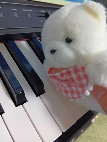 きのうぴあの、ひかせてもらったよ。
とってもたのちくて、ぽむ、ぴょんぴょんとんじゃった🎶
たのちー！♪♪♪♪♪