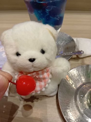 星空みたいなキラキラ.*･ﾟゼリーさんは、9月7日まで、日本橋三越本店地下一階の、喫茶ソワレさんの出店でいただくことができるよ。普段は京都のお店やさんなんです。行ける方は行ってみてね。