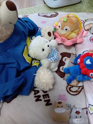 なんだかなかまがふえてきたよ。
ぽむ、ほかのぬいさんと、ちゃんとあそべるかな？