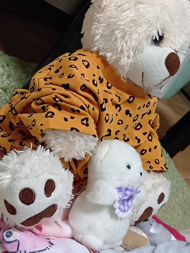 おにいちゃ、あたらちいおよぷく、かってもらったから、さっちょくきてたよ。
ままはやちゅいの、かったていってた。これはおにいちゃにはないちょだよ✌️