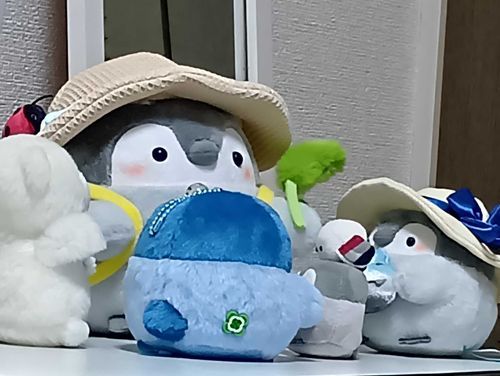 きのう、おゆうぎかいがあったよ。
(おゆうぎかいはようちえんのうんどうかいだよ)
みんなのまえでみんなでおどったよ。
たのちかった^^🐻‍❄️‎🩷