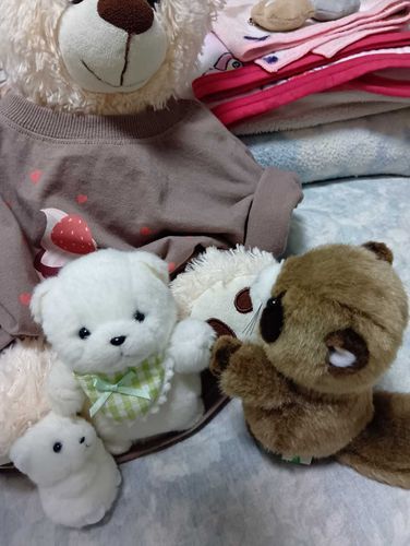 いつのまにか、森の仲間たちがふえたの。ままは、ぽむやおにいちゃがやきもちやいたり、たいへんになったりしないように、みんなは兄弟じゃなくて、なかまでおともだちだよ、ていってたよ。
おなまえはまだきまってなくて、ままがいっちょうけんめいかんがえてるところだよ。