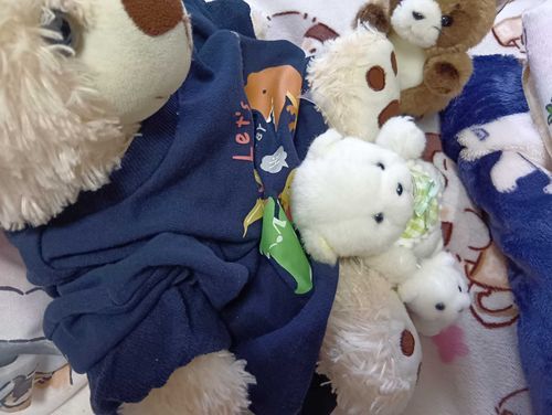 2人のお名前きまったよ。たぬちゃんは、もみのき(樅の木)愛称もみくん、ちっちゃいシロクマさんは、ラテが本名で愛称ぷちって呼ぶことにしたよ。ぷちはぽむのぬいぐるみさんにもう1人いるけど、いいことにしたよ。
2人ともお店のクリスマスツリー🎄にいたから、もみくんはそれにちなんでるよ。
みんなけんかはしないけど、ぽむは自分のばしょを守っているよ。