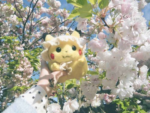 ポスト