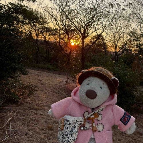 あけましておめでとう！
2026ねんもよろしくおねがいします🧸🎍