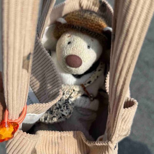 きょうは おねえちゃんとスーパーにいったよ~！
くーちゃんは バッグからでない おやくそく まもれる🧸