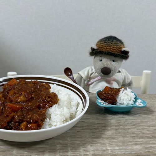 きょうのよるごはんはカレーだったよ🍛🧸