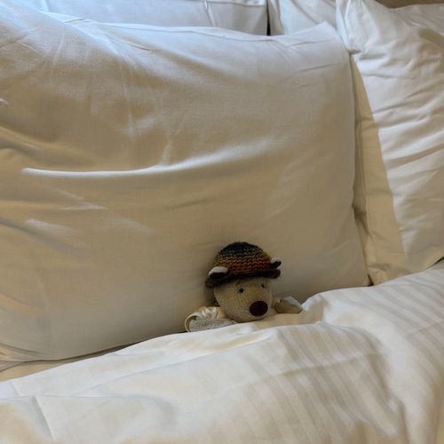 まくら ちょっとたかい🛏