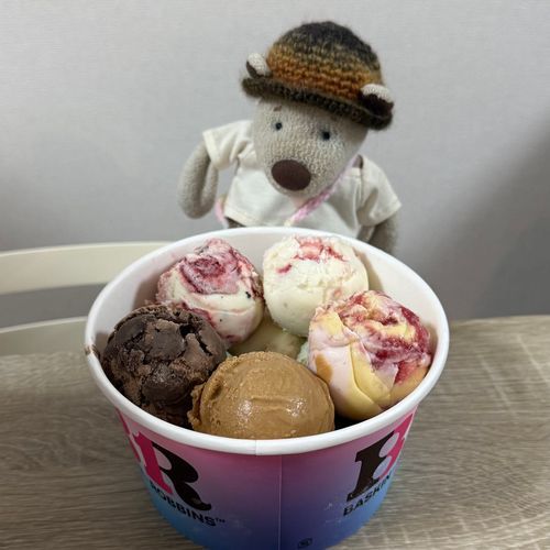 これ いっきにぜーんぶたべていいの？🍨