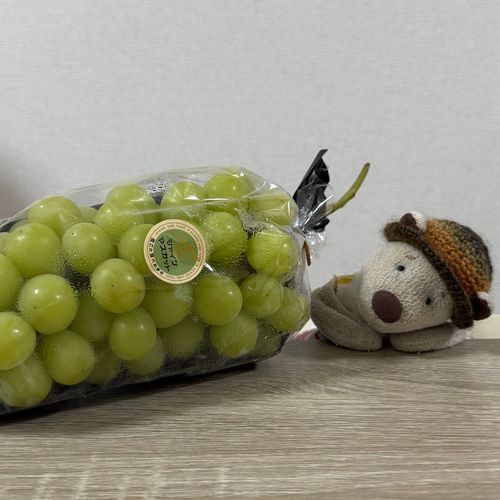 シャインマスカットもらったんだ💚