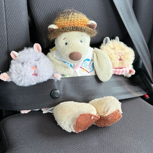 あんぜんうんてん おねがいします🚘