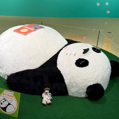 パパンダといっしょにおひるね💤