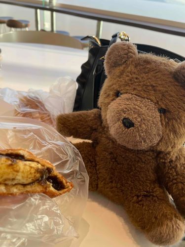 持ち主さんがカレーパンを食べていたけど思ったより辛かったらしい。ぼくも食べてみたいな。