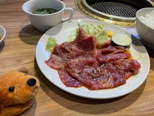 おいしかった🐶