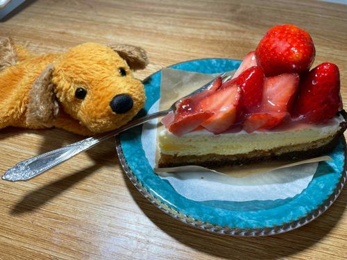 真っ赤で大きないちご！きれいなタルトだ〜🐶