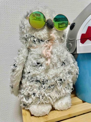サングラスが似合う彼。🦉