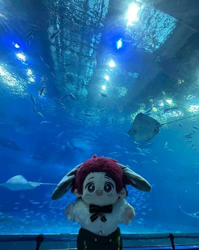 水族館です