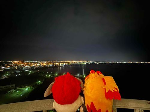 ホテルからの夜景です