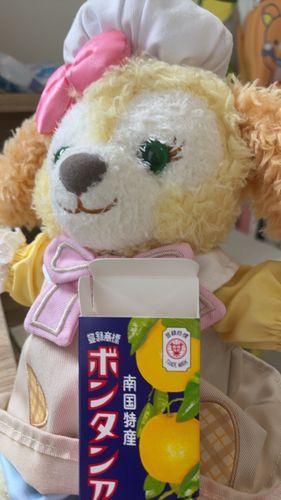 ぼんたん、あめさん☔️🎀🐶すきなんだぁ