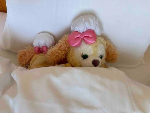 すやすや💤🐶